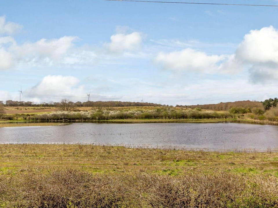 Village common, perfect for long walks 