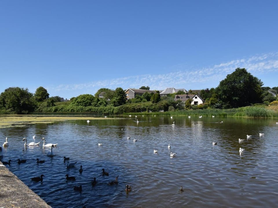 Pembroke Mill Pond