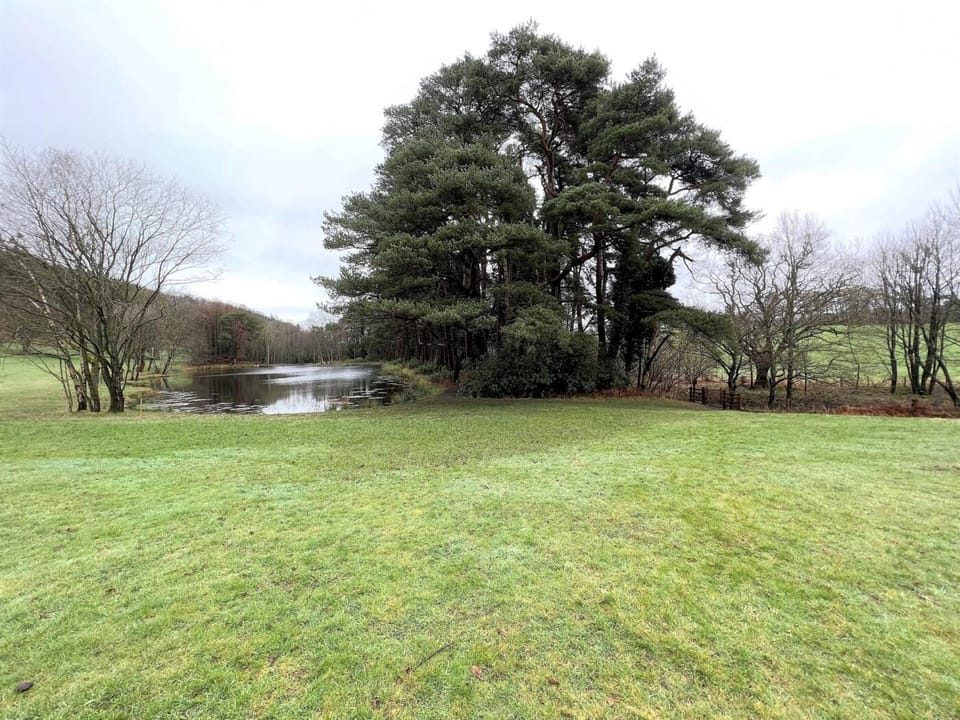 Lovely pond's and fields great for dog walking