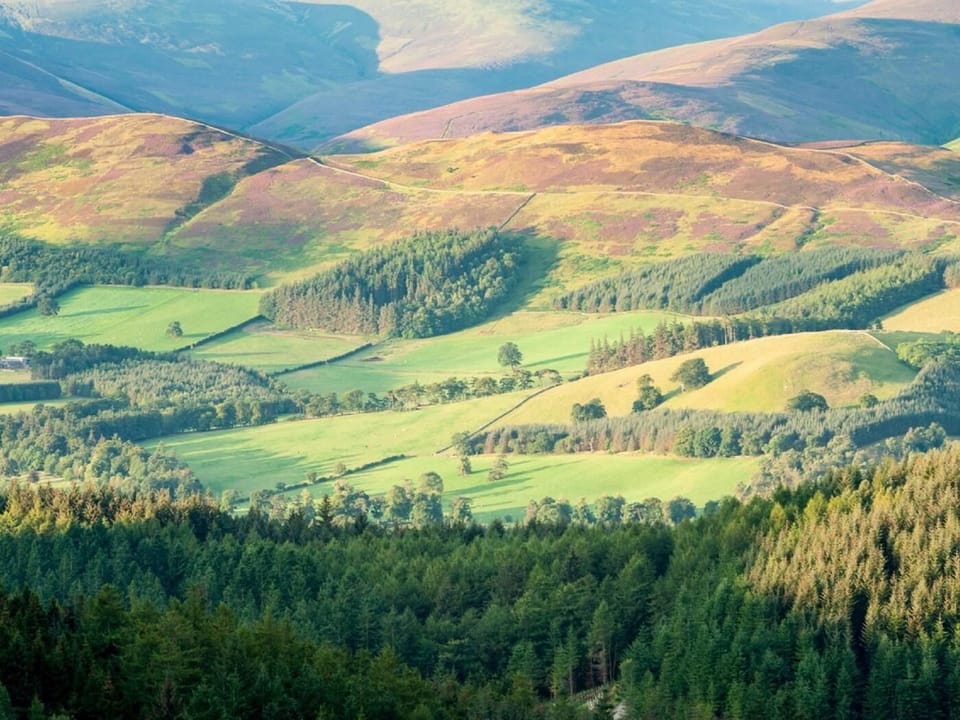 Wonderful nearby Glentress Forest