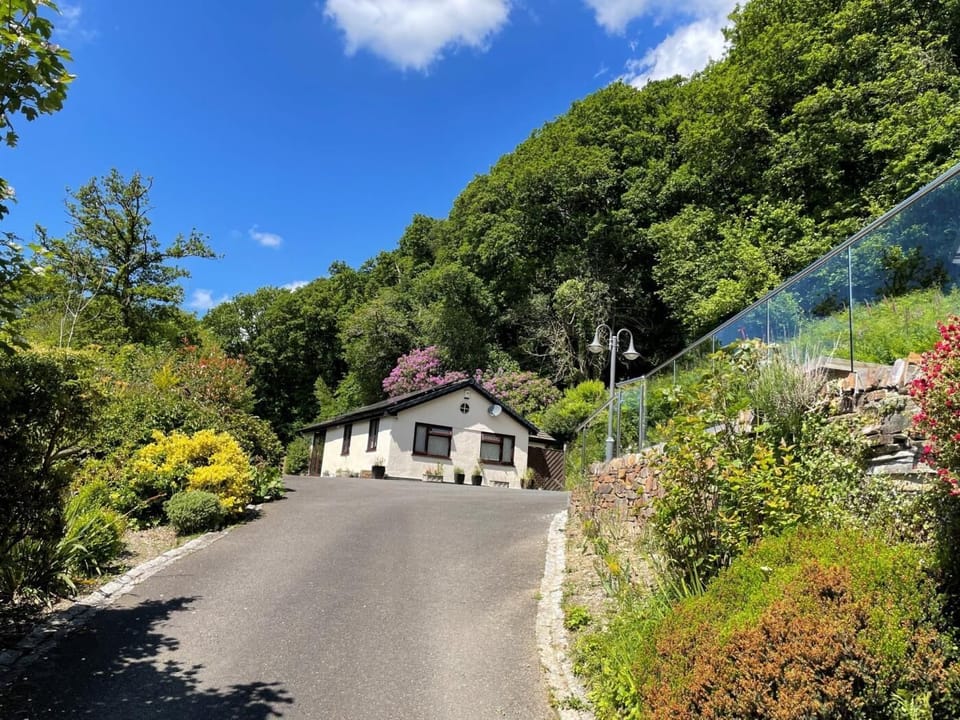 Driveway up to property and parking area