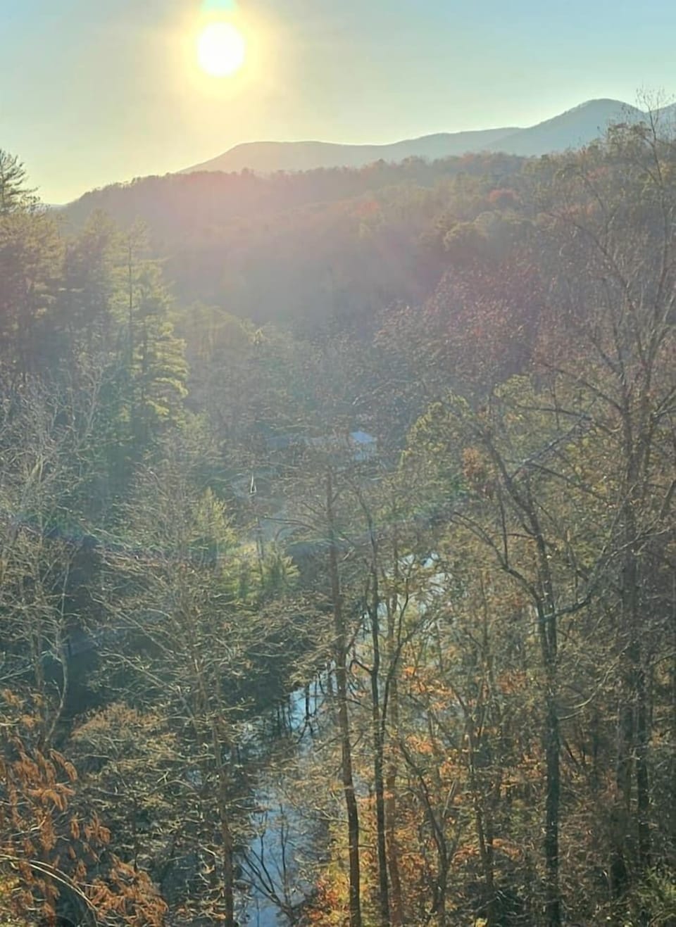 Morning deck view