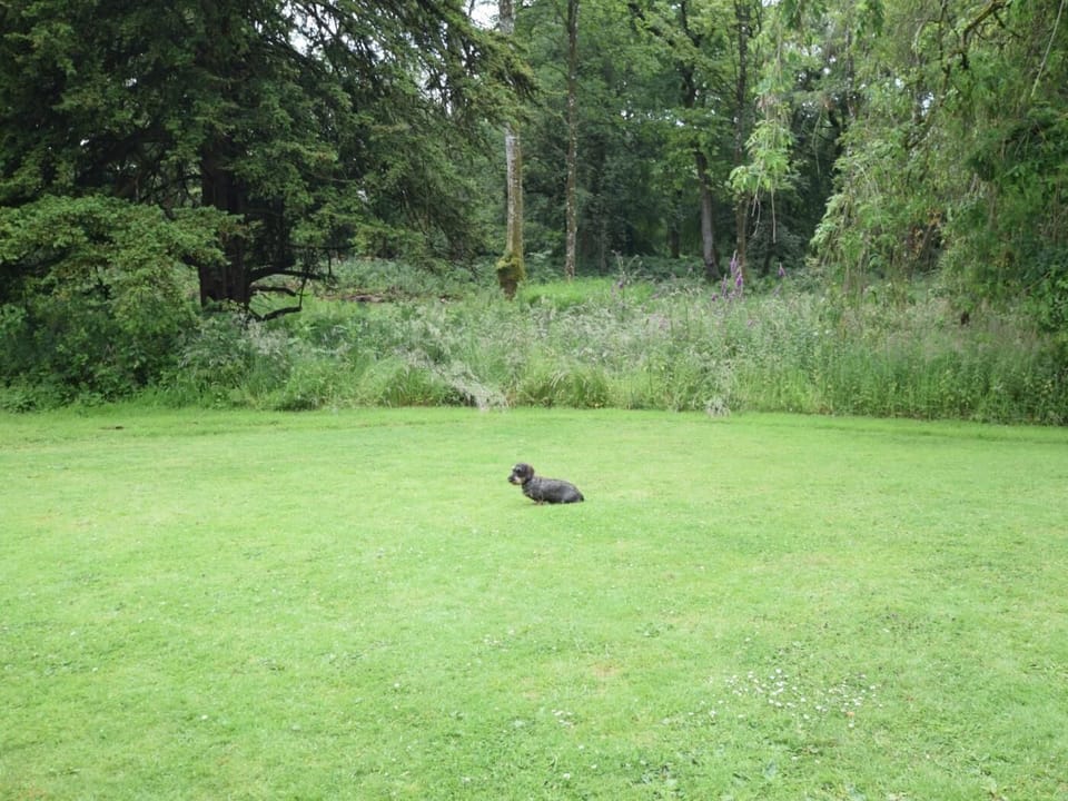 Explore the wonderful gardens
