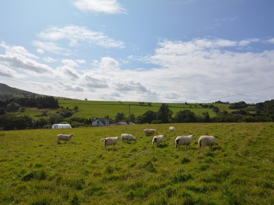 View towards the barn from the top paddock