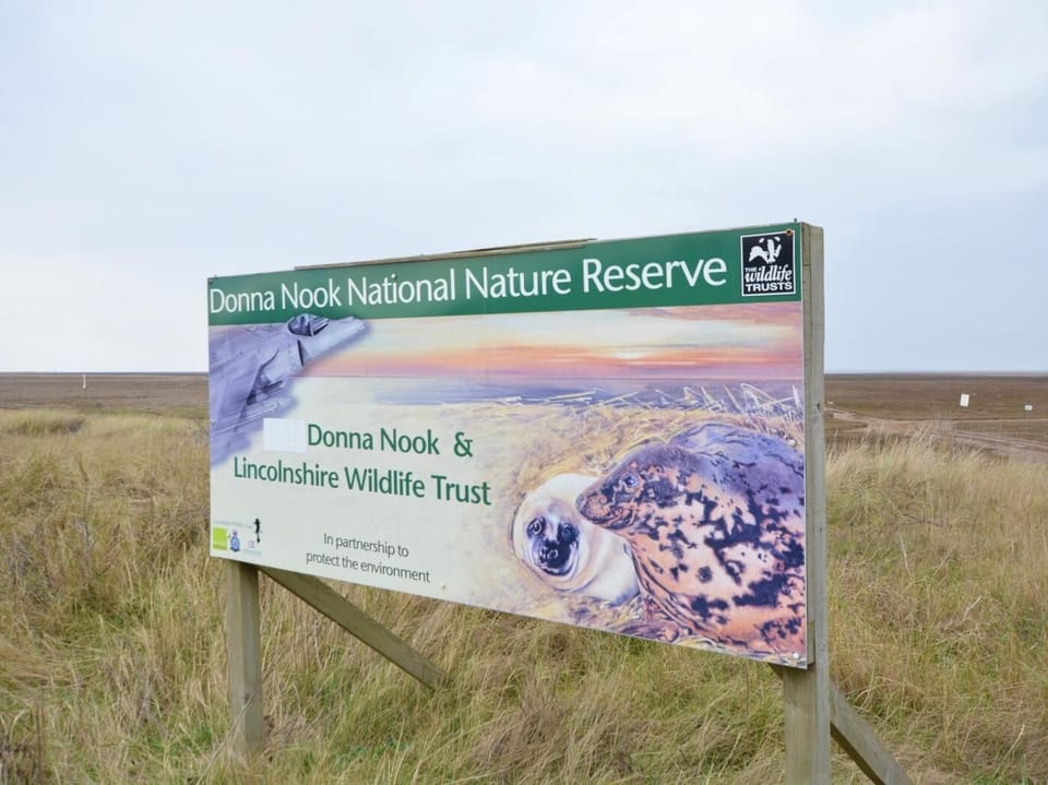 Come and see the breeding seals in winter