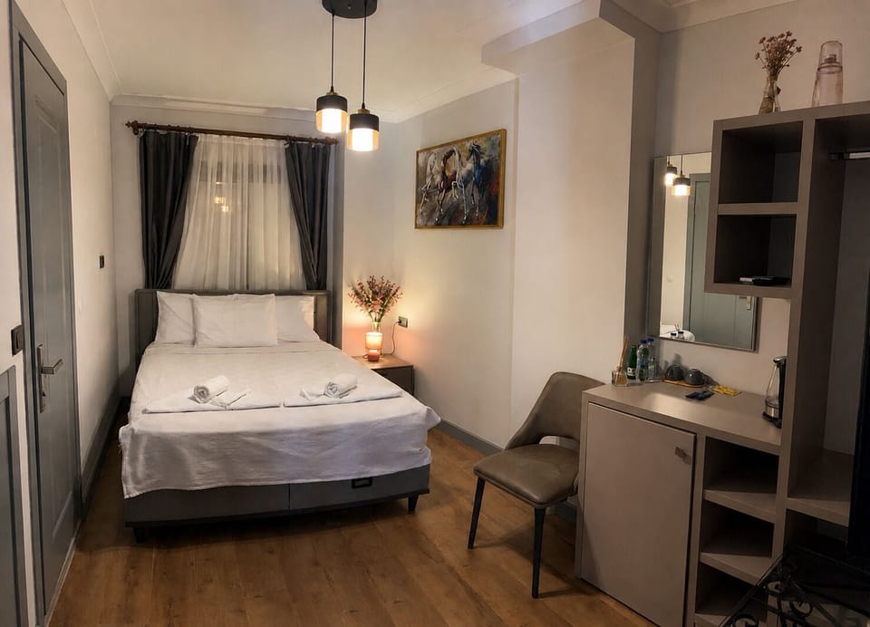 Standard Double Room | Egyptian cotton sheets, premium bedding, down comforters, desk