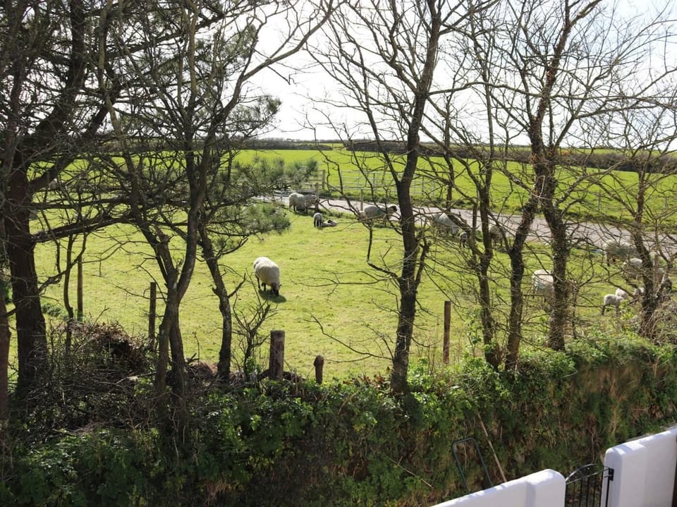 Tucked away in a rural spot, but close the coast