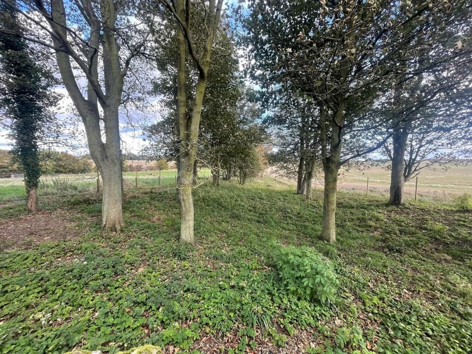 Large Dog Enclosure