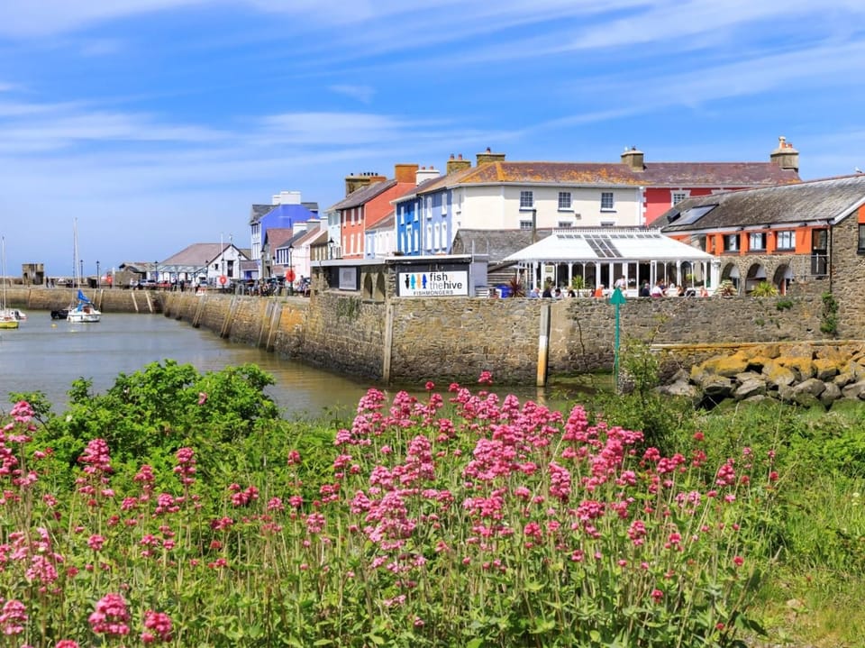 Explore Aberaeron with its harbour, independent shops and eateries
