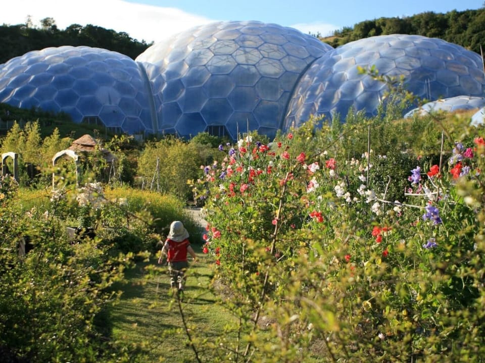 A day out at the world famous Eden Project