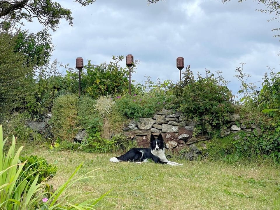 Super dog friendly with plenty of countryside and beaches nearby