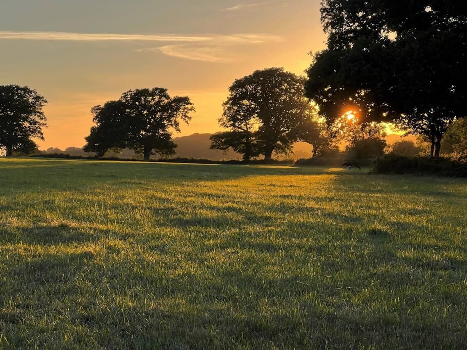 Watch the sunset over the fields 