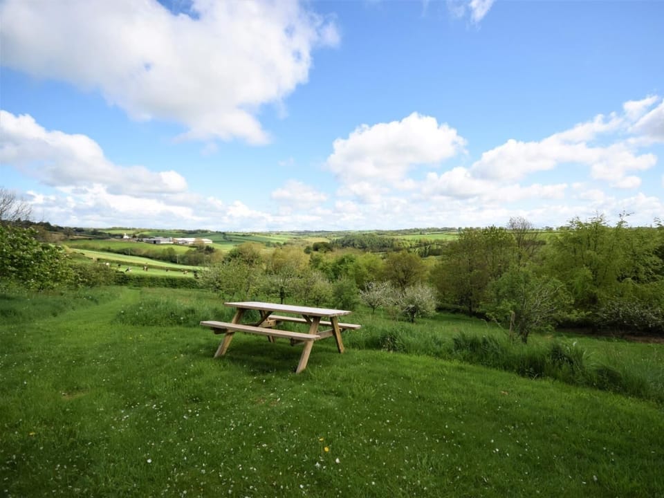 Mature orchard adjacent to the cottage 