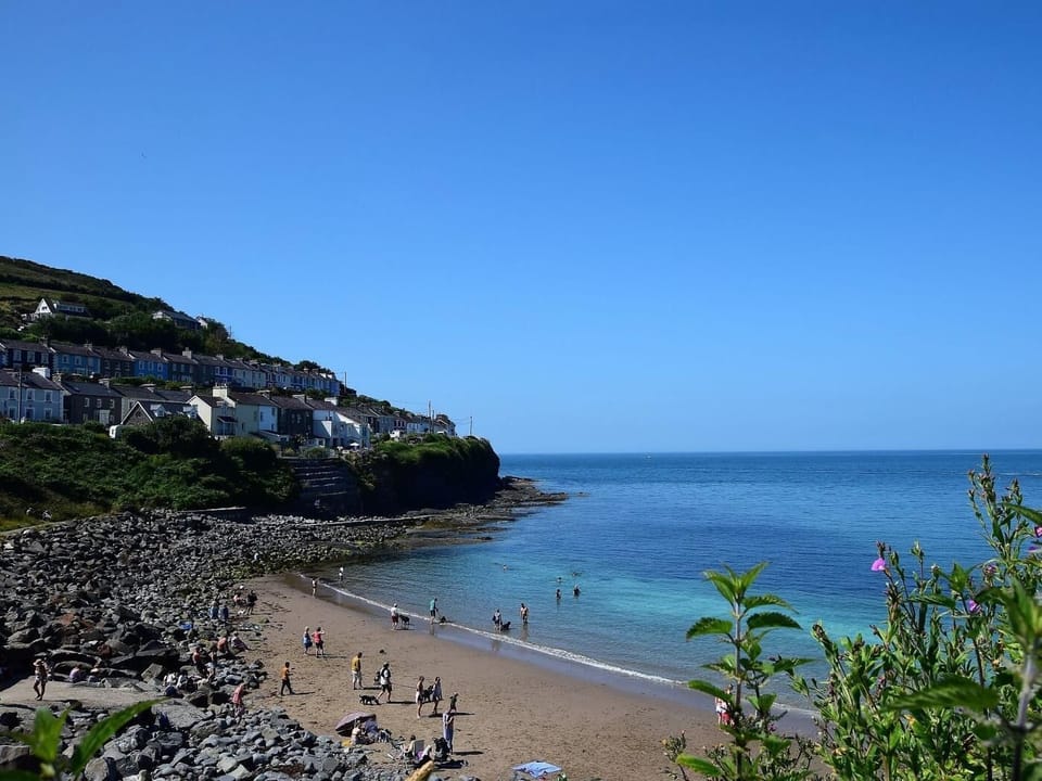 Visit New Quay with its lovely beaches and you may just spot a dolphin or two