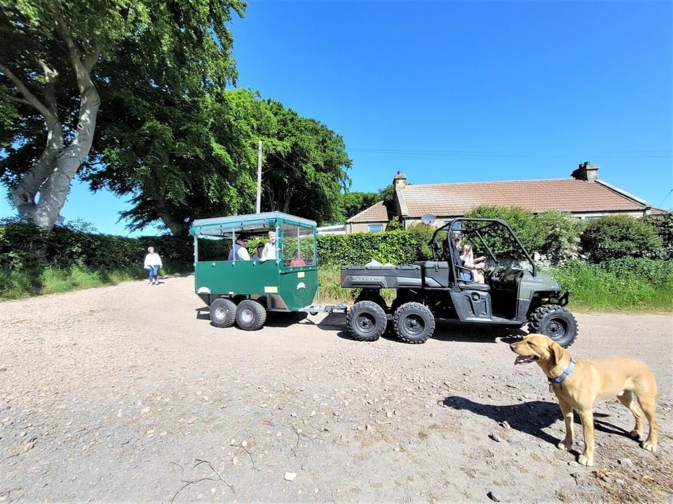 Take a farm tour and visit the farm animals 