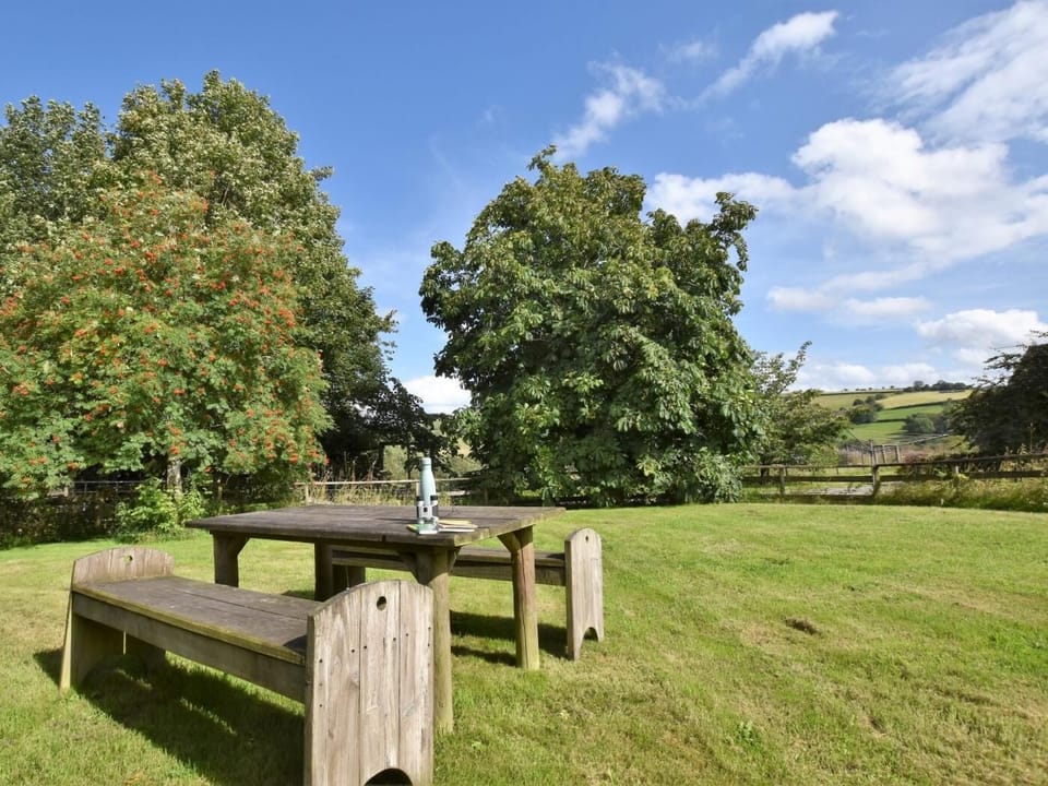The enclosed paddock is the perfect area to relax and let your dogs run freely 