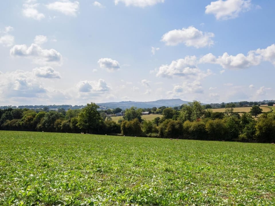 Local views of the Clee Hill