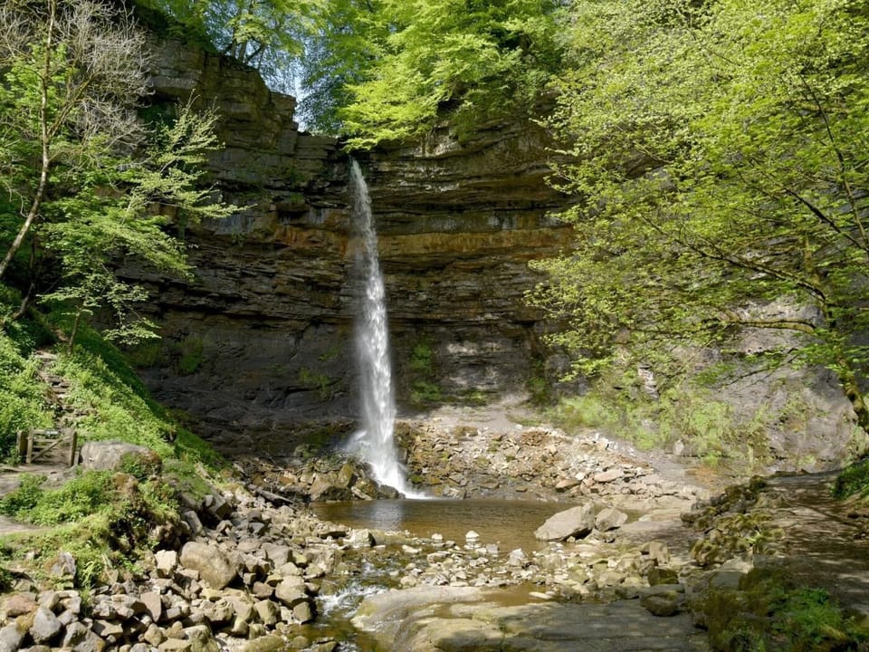 Hardraw Force