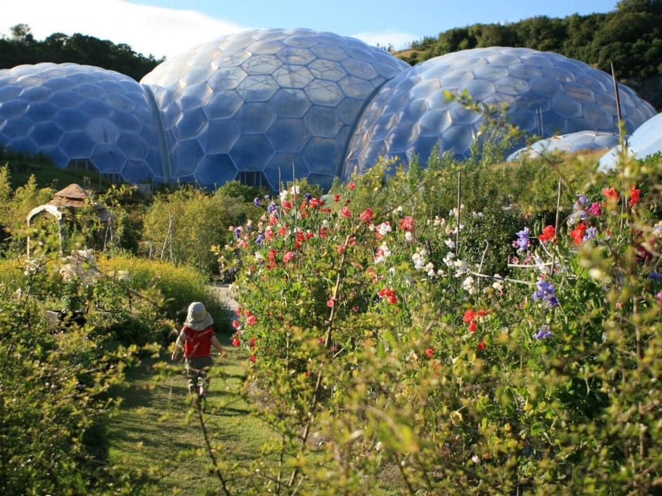Visit the world famous Eden Project