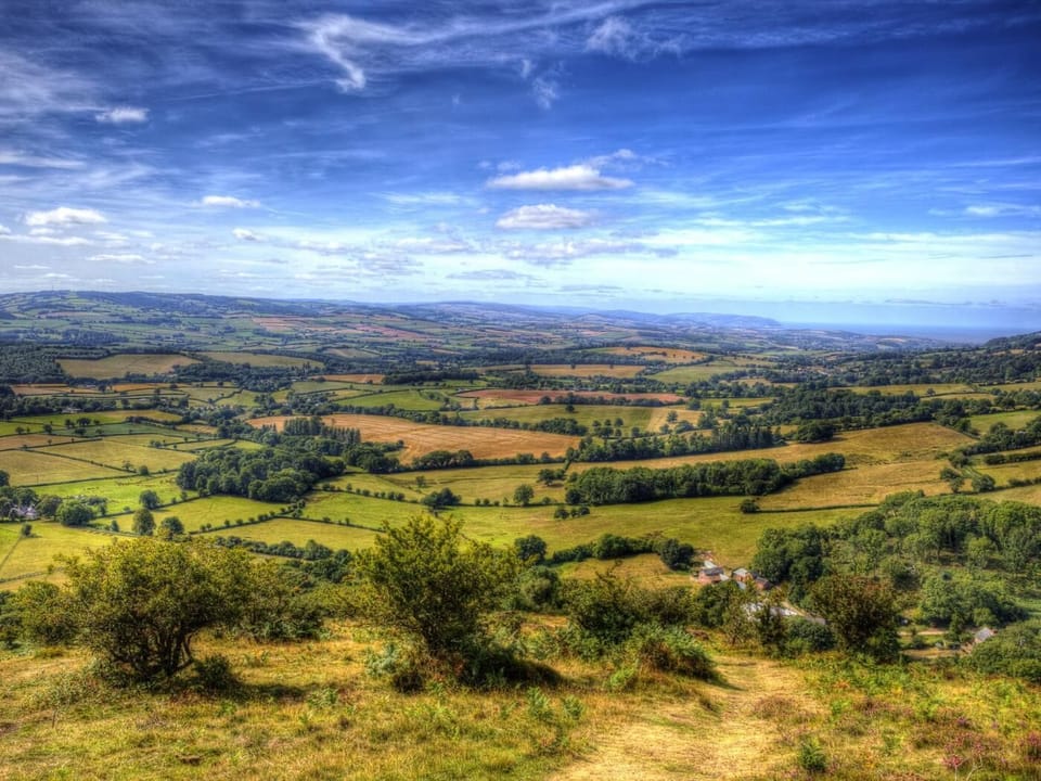 Enjoy a myriad of local walks and trails