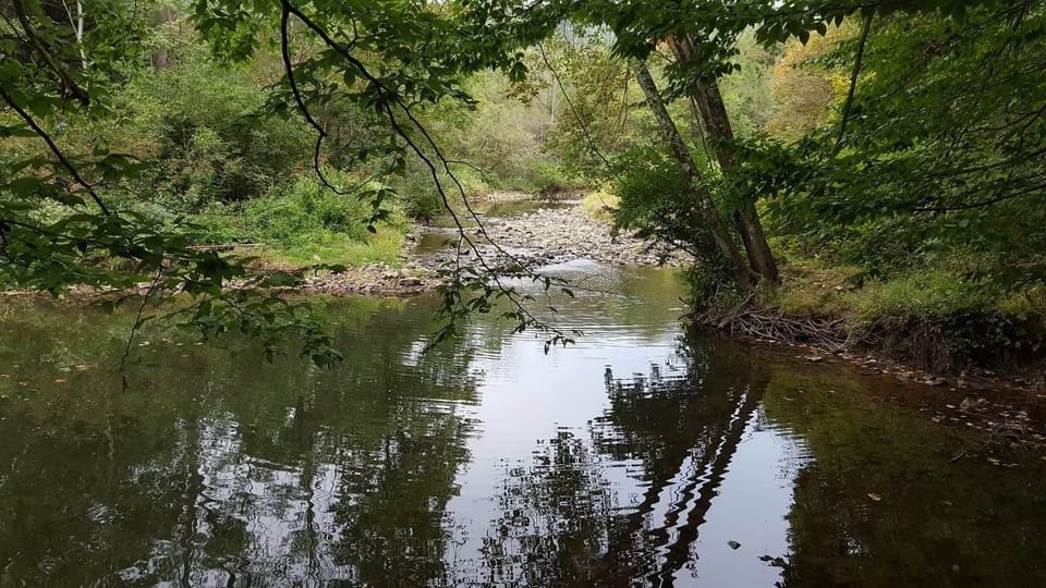 Creek