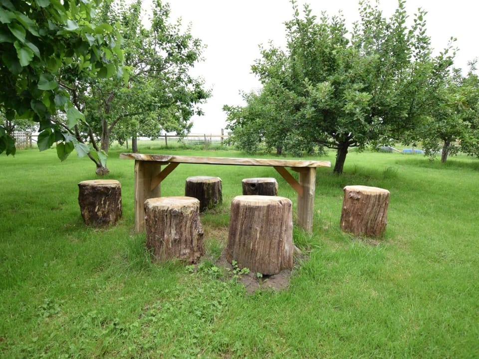 Orchard