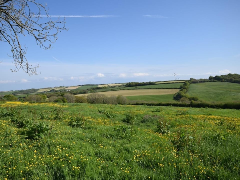 Countryside setting 