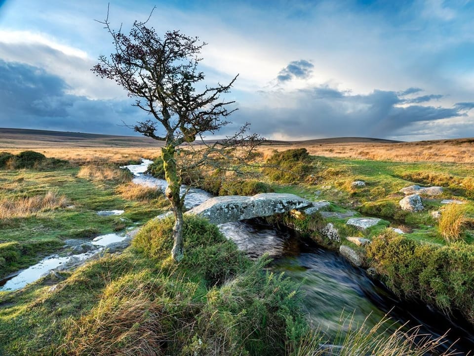Beautiful dartmoor walks