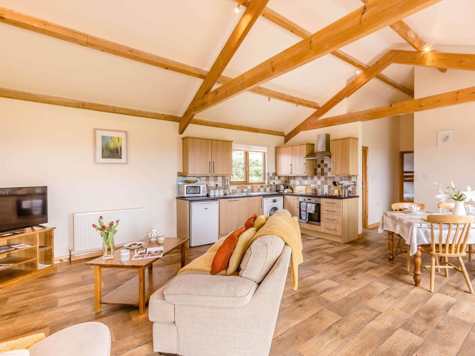 Explore the River Torridge and the picturesque riverside towns of Bideford, Instow, and Appledore