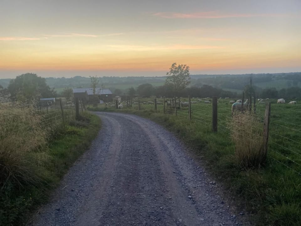 The driveway  to Rogford Barn