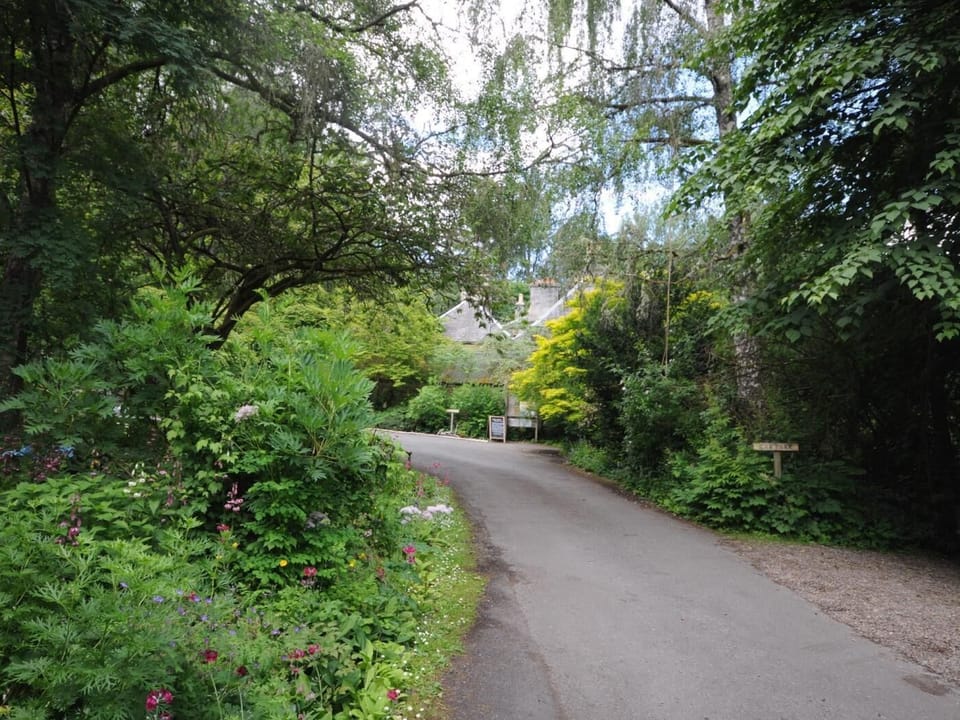 Take a visit to Cluny House Gardens
