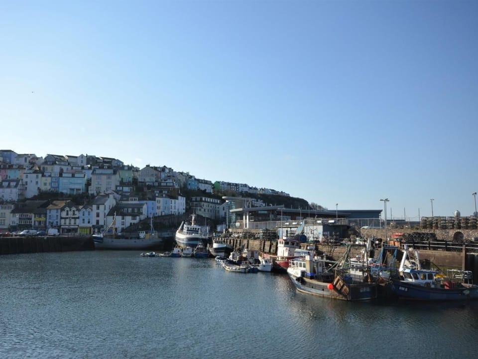 View from the harbour