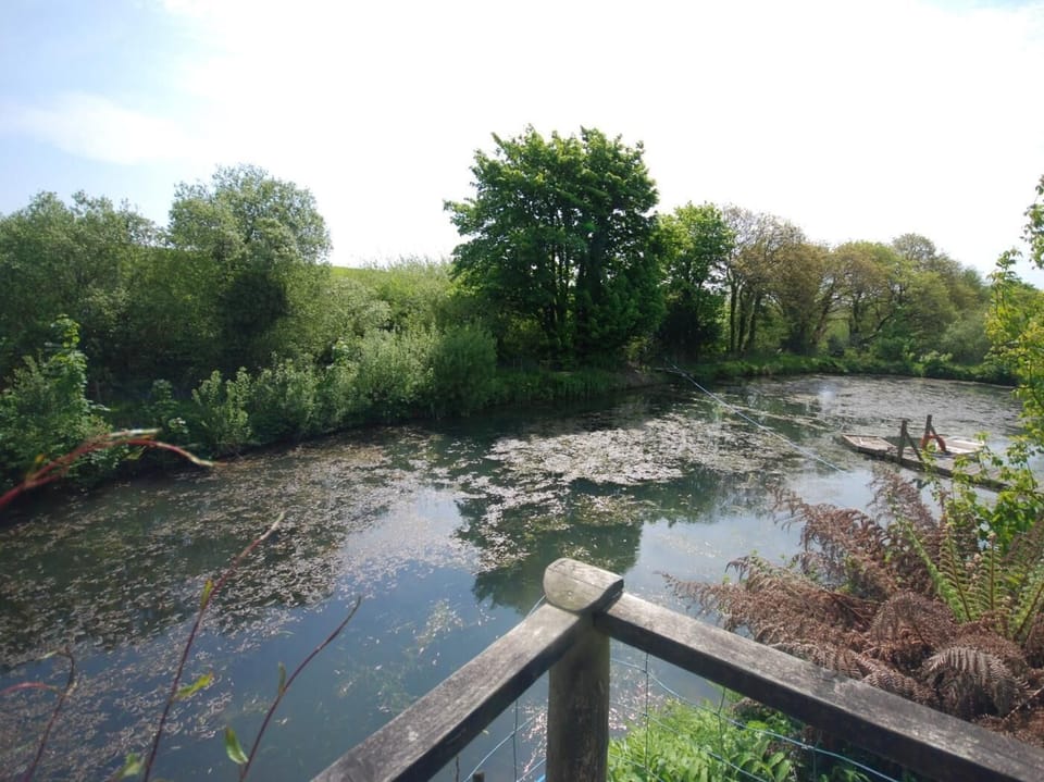 Large enclosed pond perfect for fishing