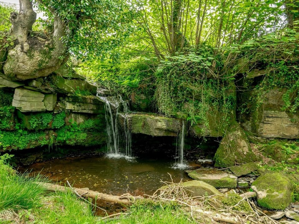 Waterfall with shallow pool within the grounds