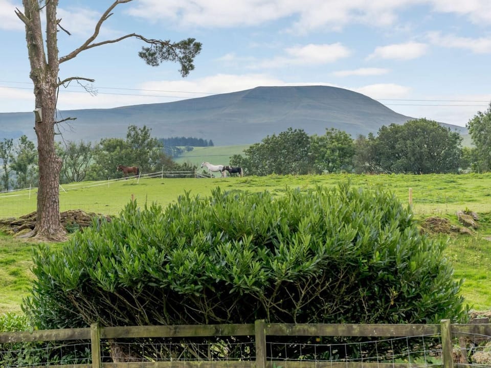 Wonderful views surrounding the cottage