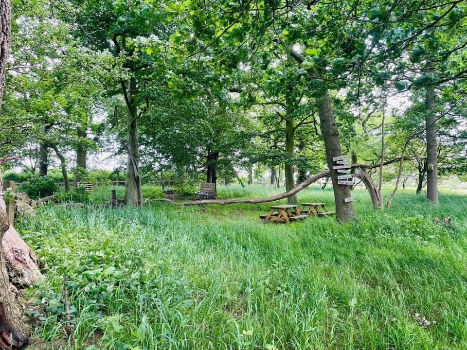 The woodland is just a short stroll from the cottage