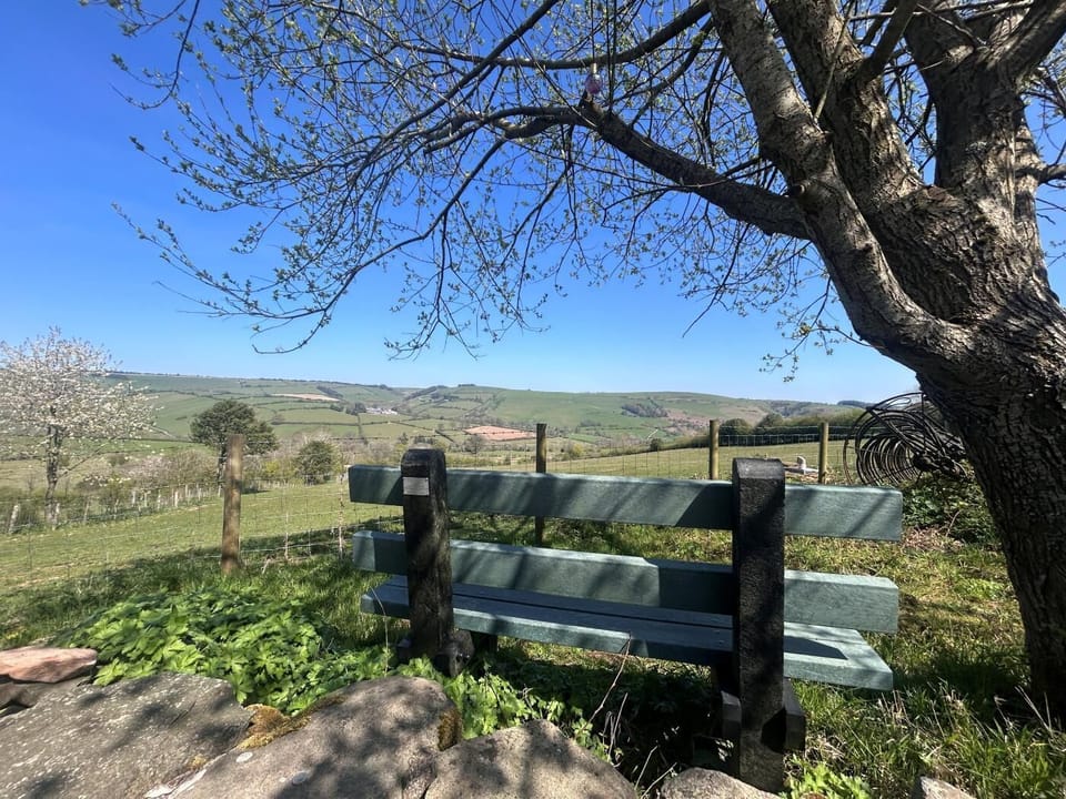 The amazing view from the seating area at the cottage