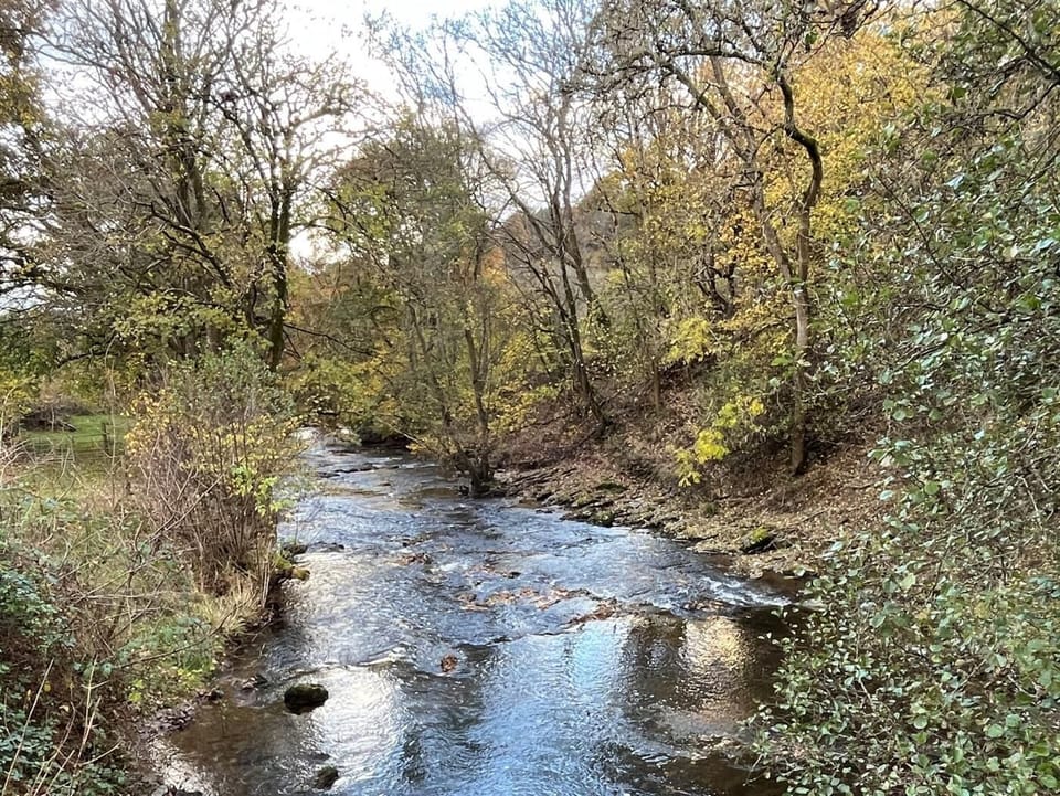 Looking down the stream from the bridge in the village