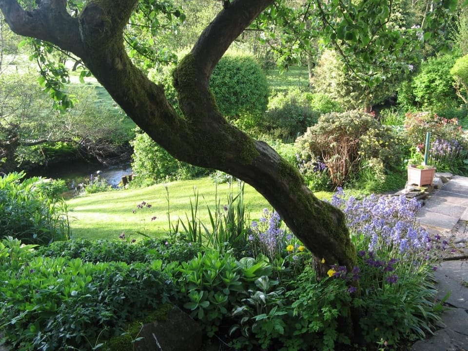 Explore the garden listening to the birds with the river flowing gently by