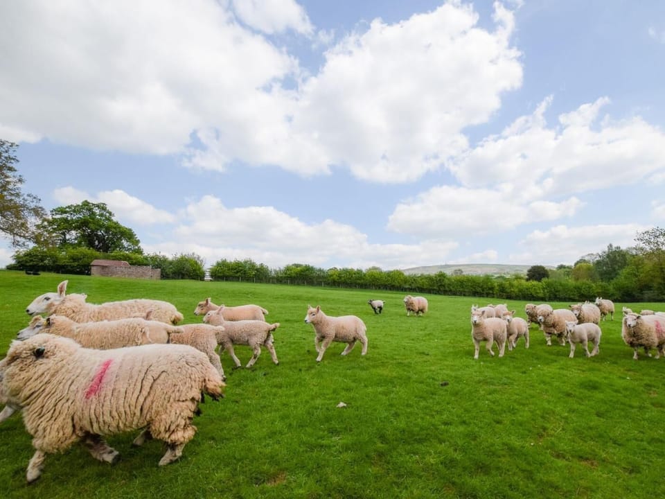 Miscellaneous