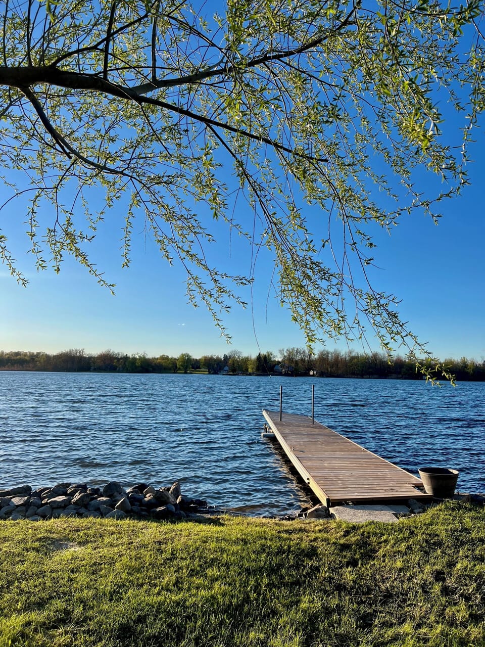 Dock + Swimming Area