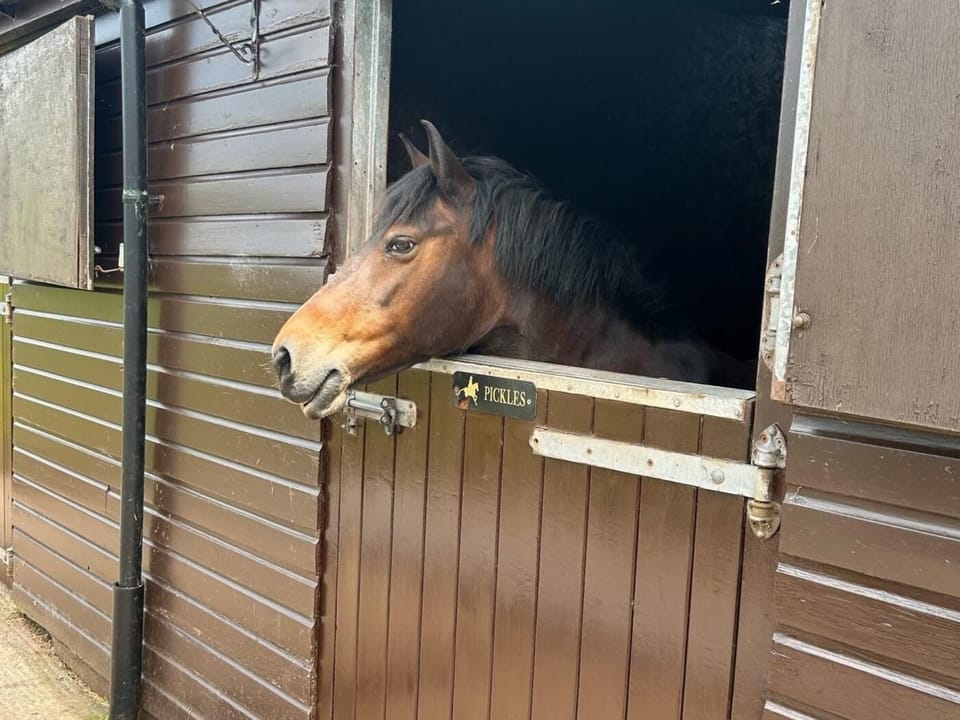 Meet one of your neighbours...