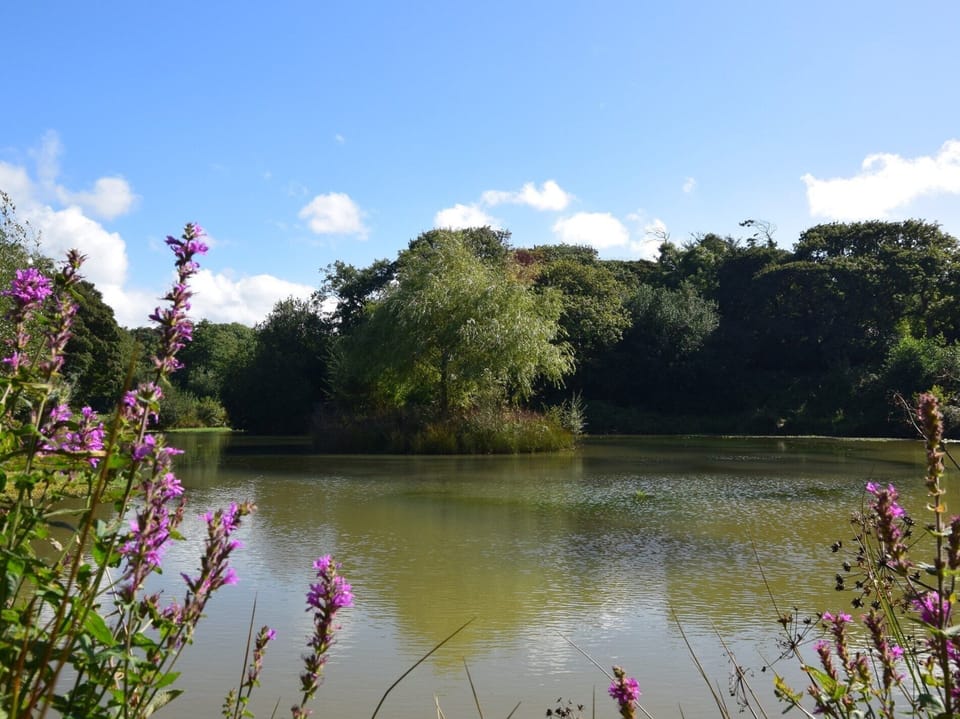 Enjoy the onsite fishing lake