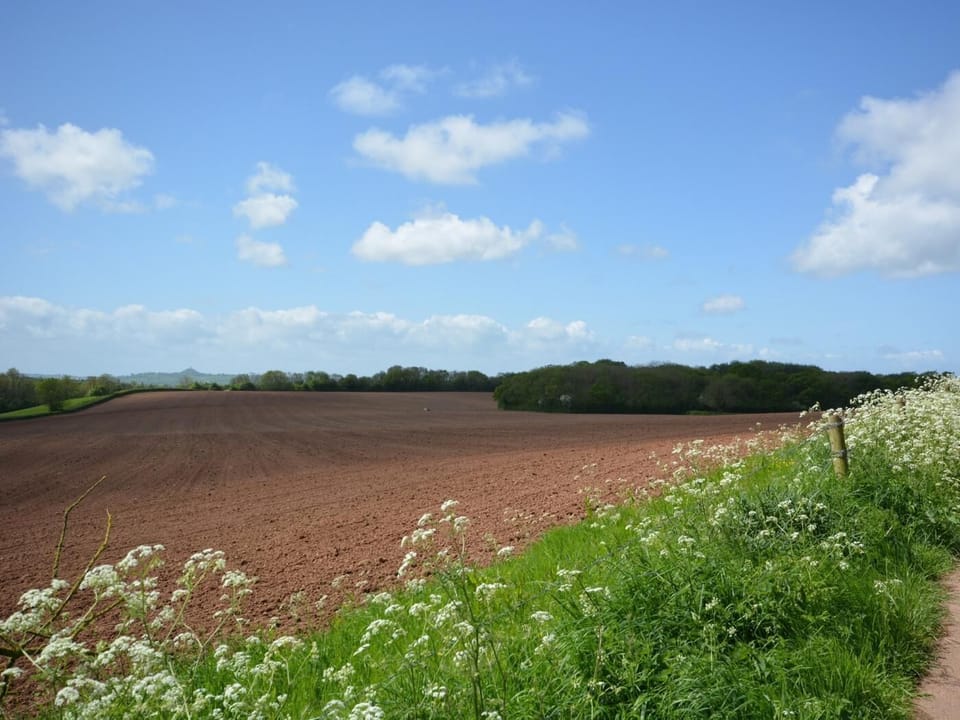 Glastonbury Tor views as you stroll into Wells for brunch