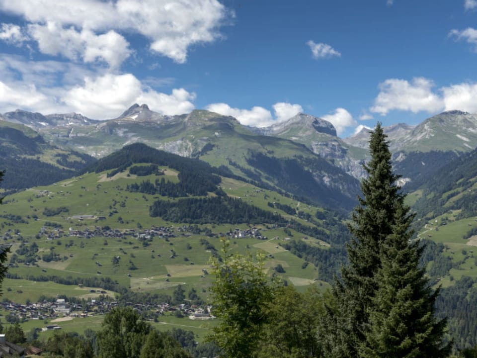 View