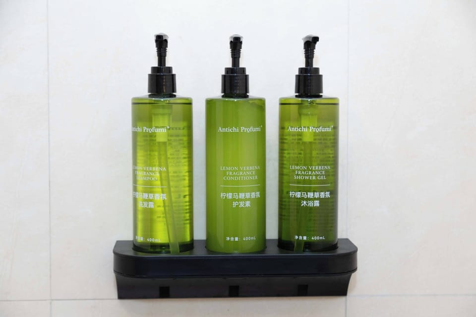 Business Twin Room, City View | Bathroom amenities | Free toiletries, hair dryer, bathrobes, slippers