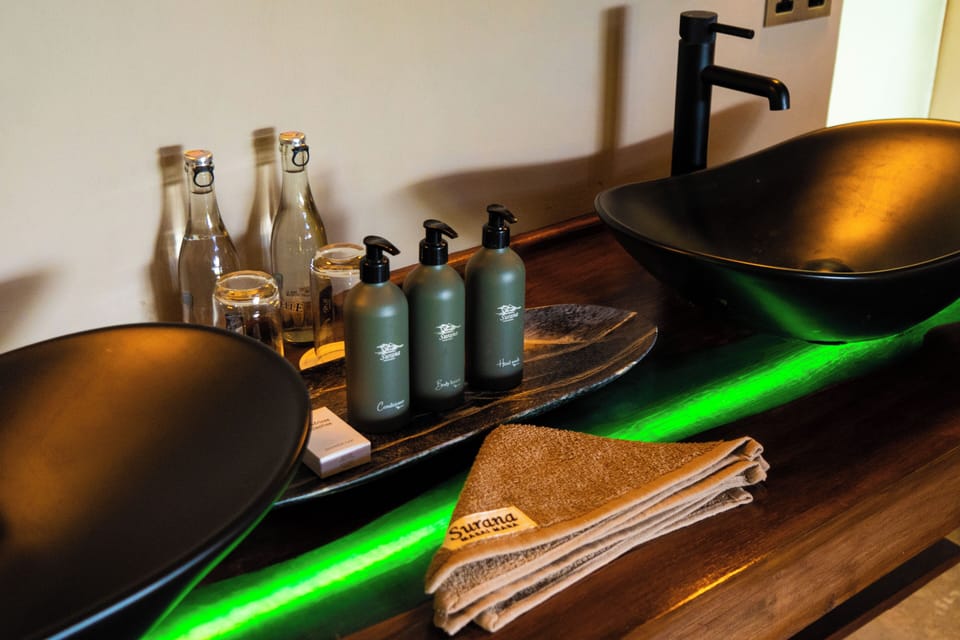 Hair dryer, towels, shampoo, toilet paper