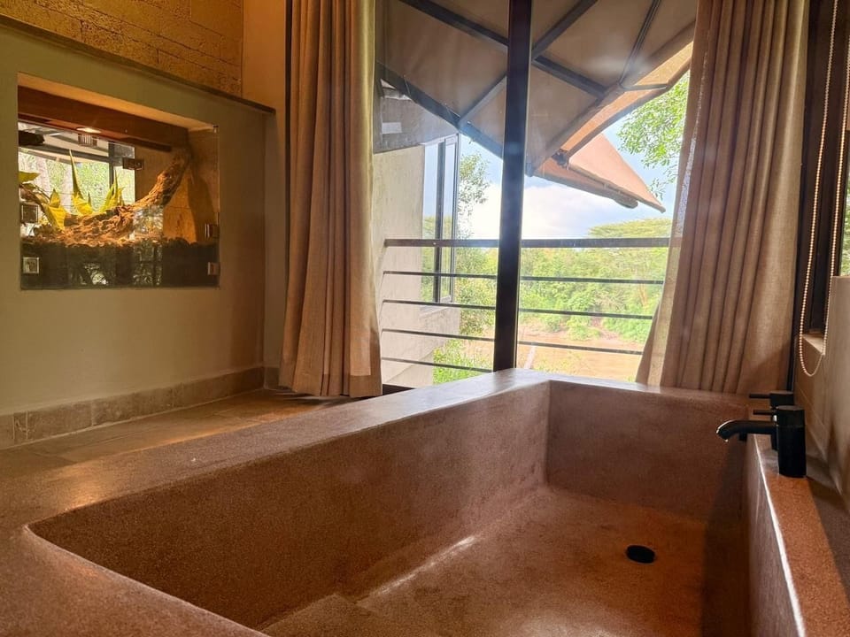 Luxury Suite | Bathroom | Hair dryer, towels, shampoo, toilet paper