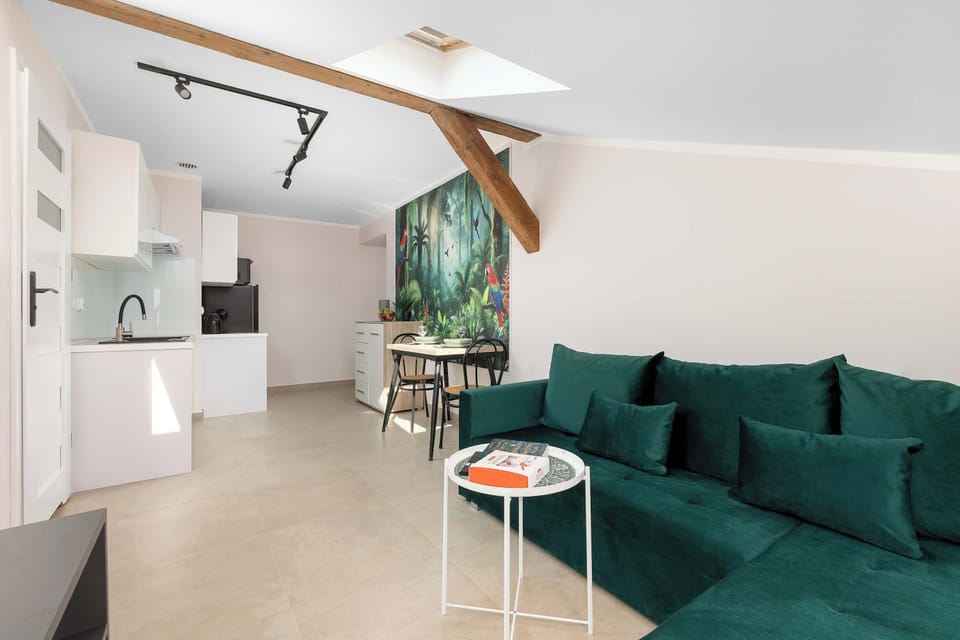 Bright studio interior with open layout connecting the lounge, dining space and kitchenette.