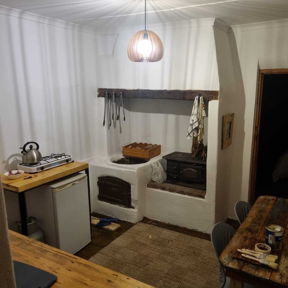 Business Double Room | Private kitchen | Fridge, stovetop, cookware/dishes/utensils